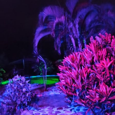 Posadamanduka Eco-Hostel Villavicencio Kültér fotó