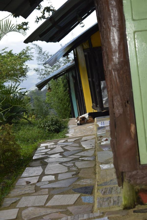 Posadamanduka Eco-Hostel Villavicencio Kültér fotó